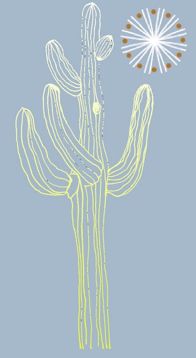 Sahuaro Graphic